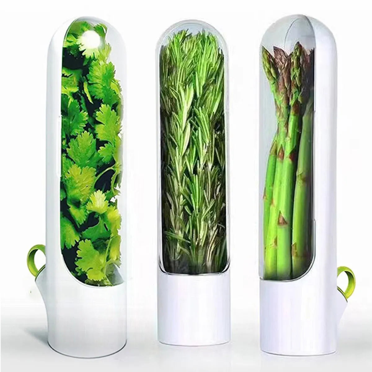Boîte de conservation Herb-Pro – Gardez vos herbes fraîches pendant des semaines