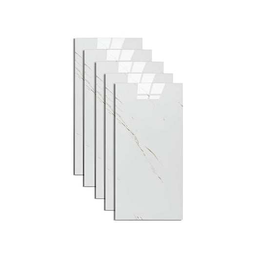 Panneaux Muraux GlossyLux – La solution DIY simple pour des murs luxueux